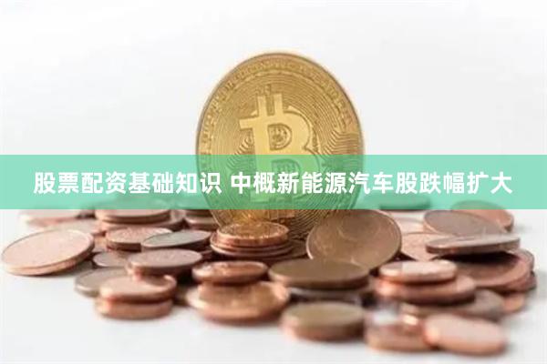 股票配资基础知识 中概新能源汽车股跌幅扩大