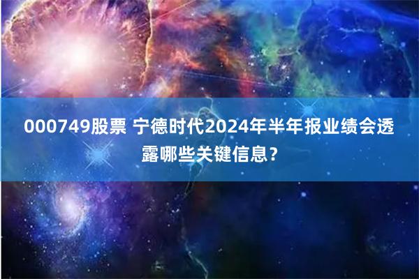 000749股票 宁德时代2024年半年报业绩会透露哪些关键信息？