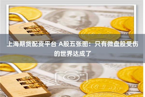 上海期货配资平台 A股五张图：只有微盘股受伤的世界达成了